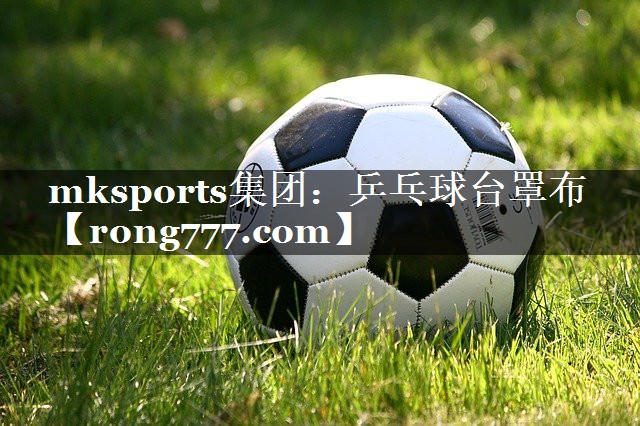 mksports集团：乒乓球台罩布