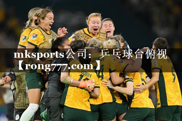 mksports公司：乒乓球台俯视