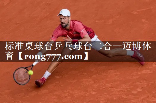 标准桌球台乒乓球台二合一迈博体育