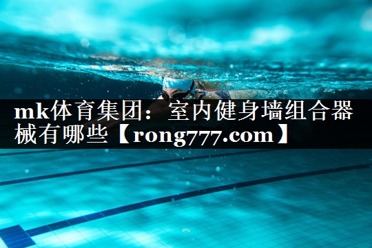 mk体育集团：室内健身墙组合器械有哪些