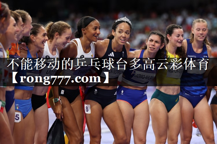 不能移动的乒乓球台多高云彩体育