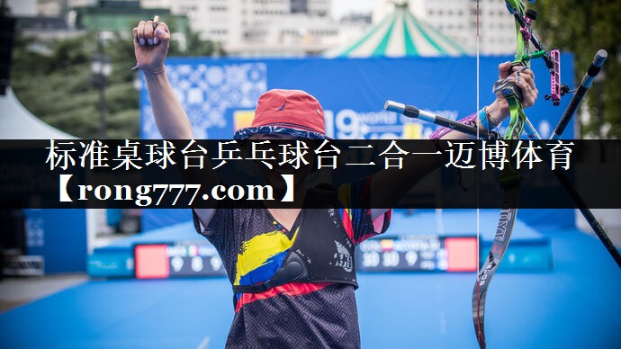 标准桌球台乒乓球台二合一迈博体育