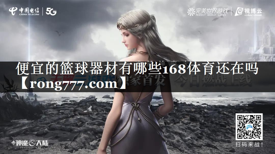 便宜的篮球器材有哪些168体育还在吗
