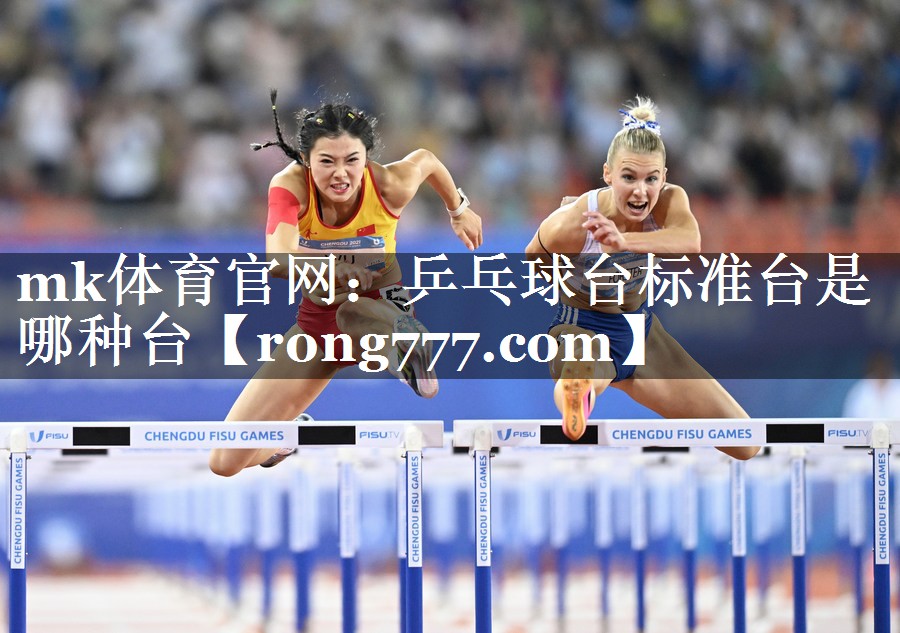 乒乓球台标准台是哪种台