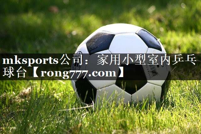 家用小型室内乒乓球台 家用小型室内乒乓球台
