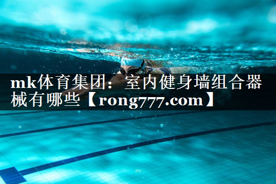 室内健身墙组合器械有哪些