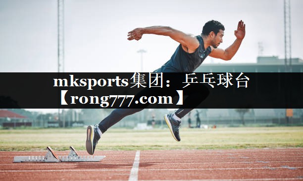 乒乓球台 乒乓球台