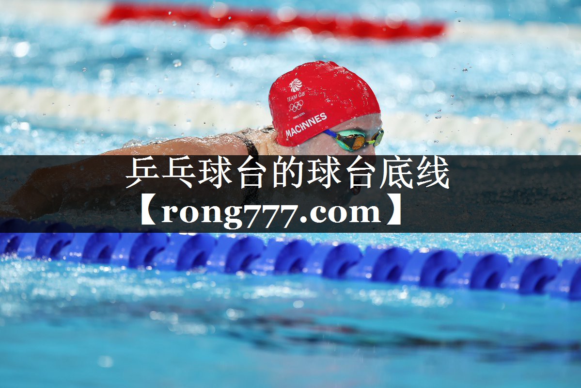 乒乓球台的球台底线 乒乓球台的球台底线