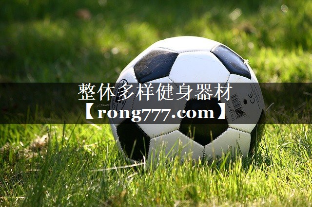 整体多样健身器材 整体多样健身器材